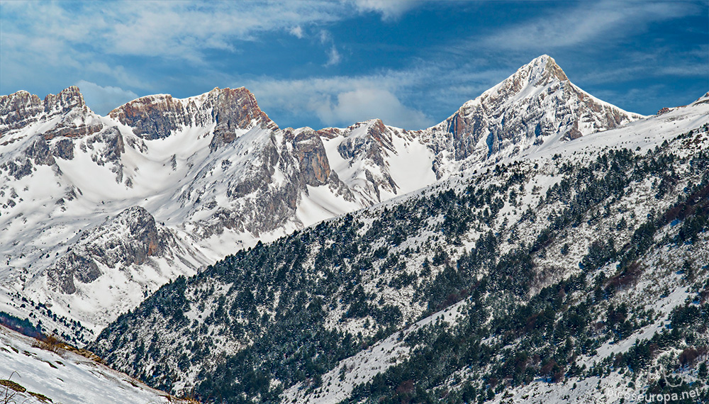 Gorreta de los Gabachos, Ginebral de Gamueta, Mallo Acherito desde la pista que sale de Guarrinza y se dirige hacia Aiguas Tuertas, Selva de Oza, Hecho, Pirineos de Huesca.