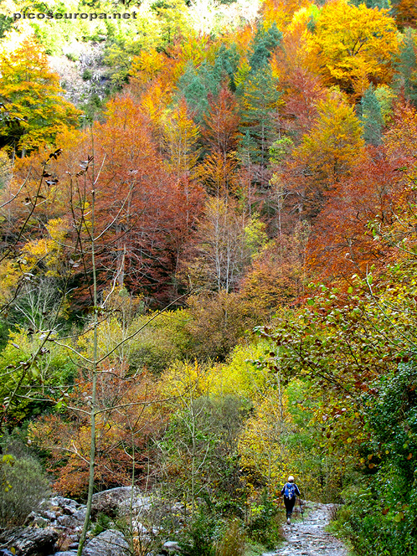 Foto: Río Bellos, Cañon de Añisclo, Pirineos de Huesca, Aragon, Parque Nacional de Ordesa y Monte Perdido