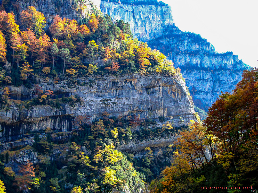 Foto: Cañon de Añisclo, Pirineos de Huesca, Aragon, Parque Nacional de Ordesa y Monte Perdido