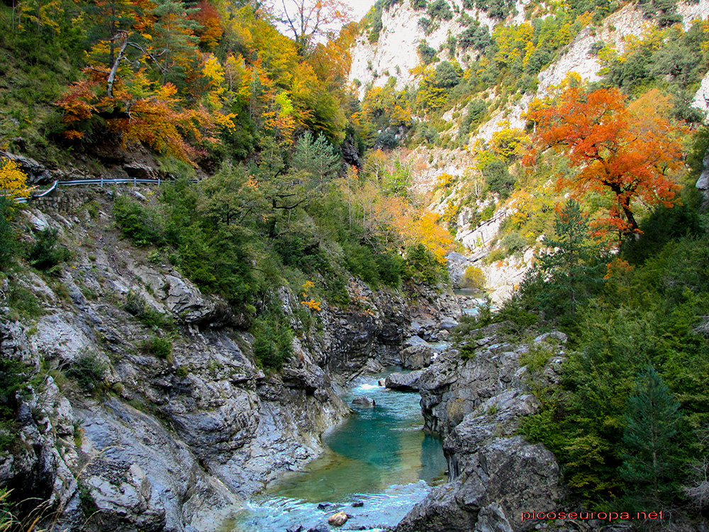 Foto: Otoño en el Desfiladero del río Bellos, Ordesa, Pirineos de Huesca, Aragón