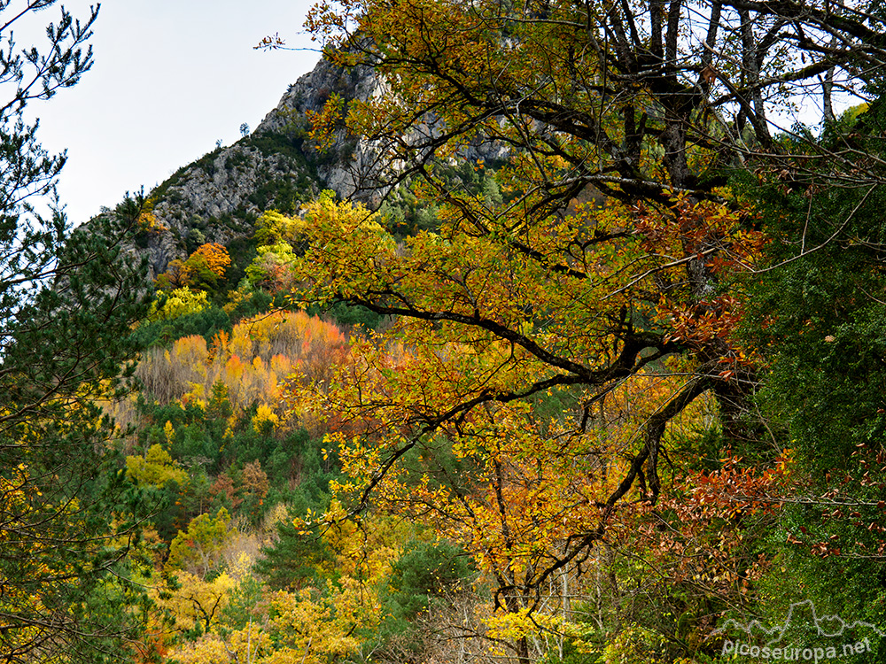 Foto: Otoño en Ordesa, Pirineos de Huesca, Aragón.