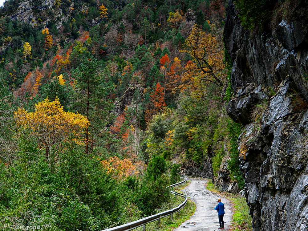 Foto: Otoño en el Desfiladero del río Bellos, Ordesa, Pirineos de Huesca, Aragón