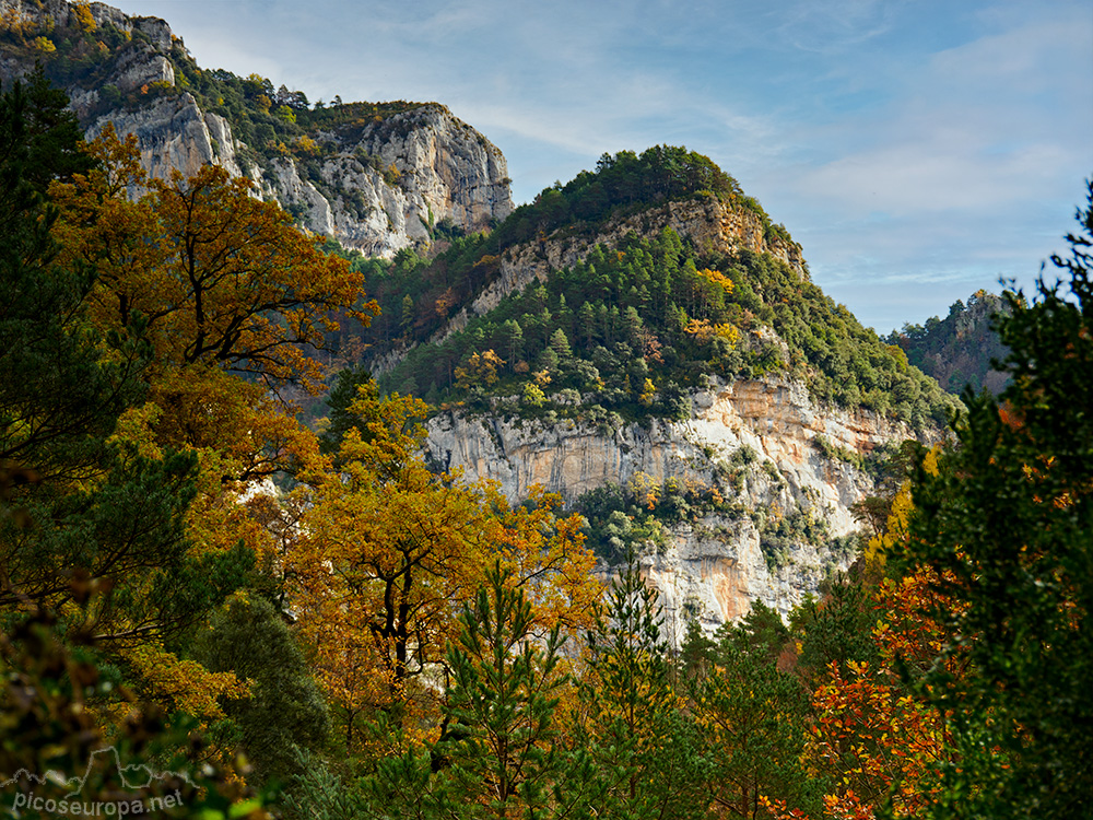 Foto: Otoño en el Desfiladero del río Bellos, Ordesa, Pirineos de Huesca, Aragón