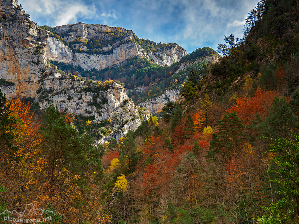 Foto: Otoño en el Desfiladero del río Bellos, Ordesa, Pirineos de Huesca, Aragón