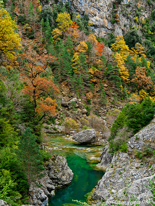 Foto: Otoño en el Desfiladero del río Bellos, Ordesa, Pirineos de Huesca, Aragón