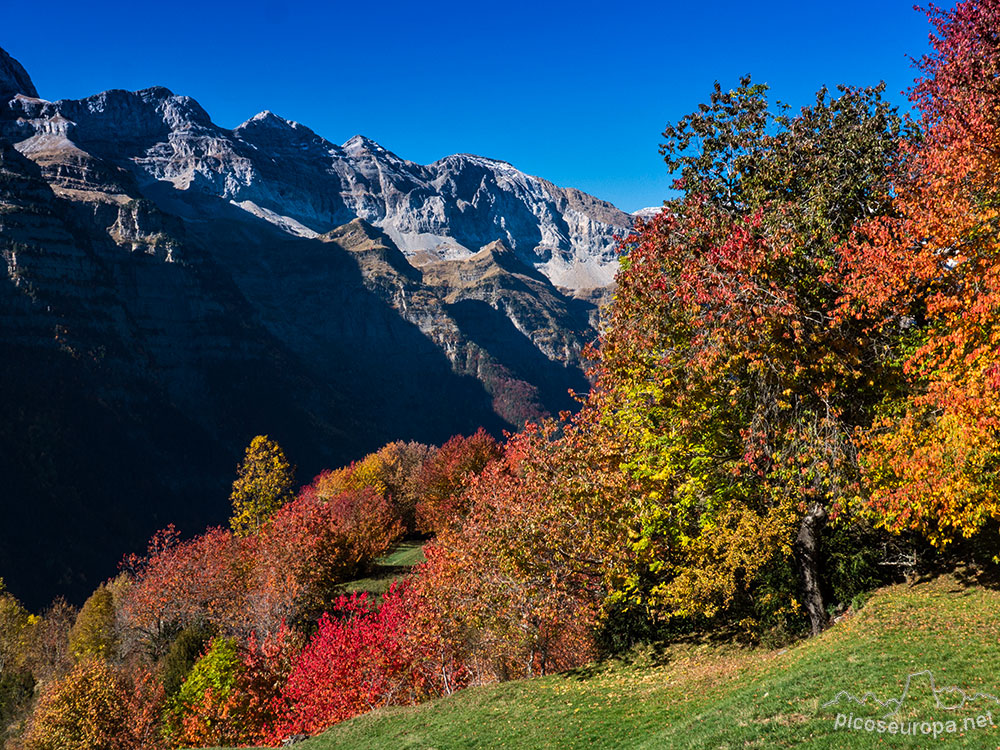 Foto: Prados y bosque alrededor del inicio del recorrido en el pueblo de Espierba. Valle de Pineta, Ordesa.