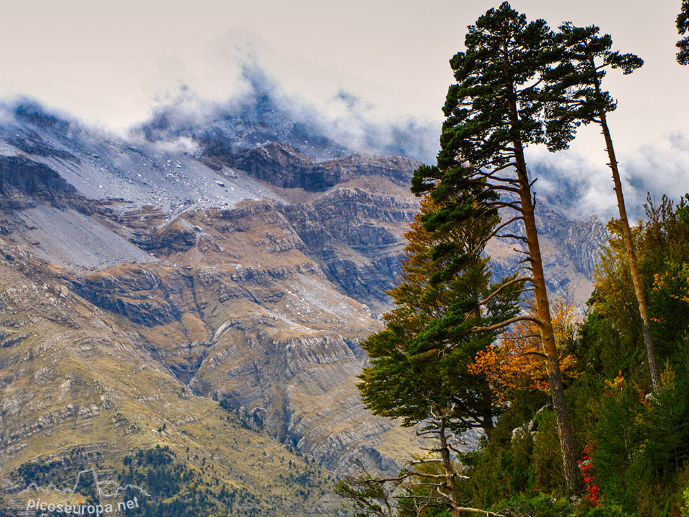 Foto: Valle de Pineta, Parque Nacional de Ordesa y Monte Perdido