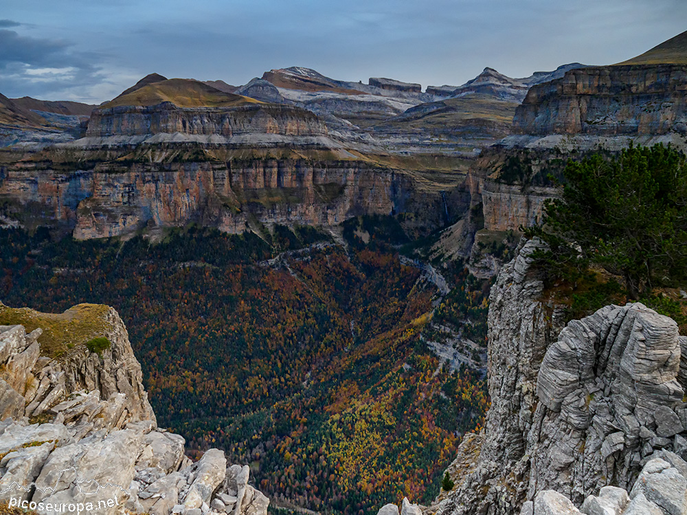 Foto: Otoño en Ordesa desde la Sierra de las Cutas.