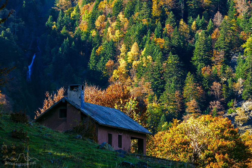 Otoño en la Artiga de Lin, Valle de Aran, Pirineos de Catalunya.