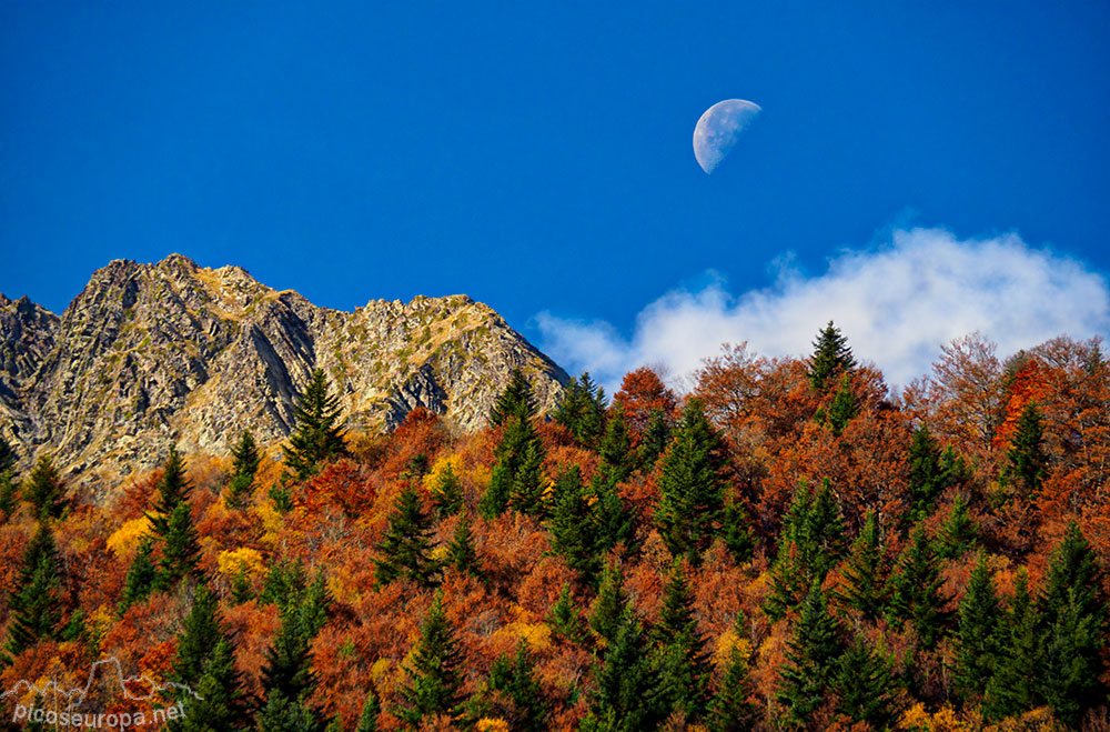 Otoño en la Artiga de Lin, Val d'Aran, Pirineos, Catalunya.