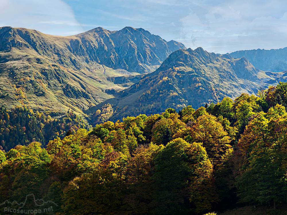 Foto: Otoño en los bosques de la Artiga de Lin, Vall d'Aran, Pirineos de Catalunya