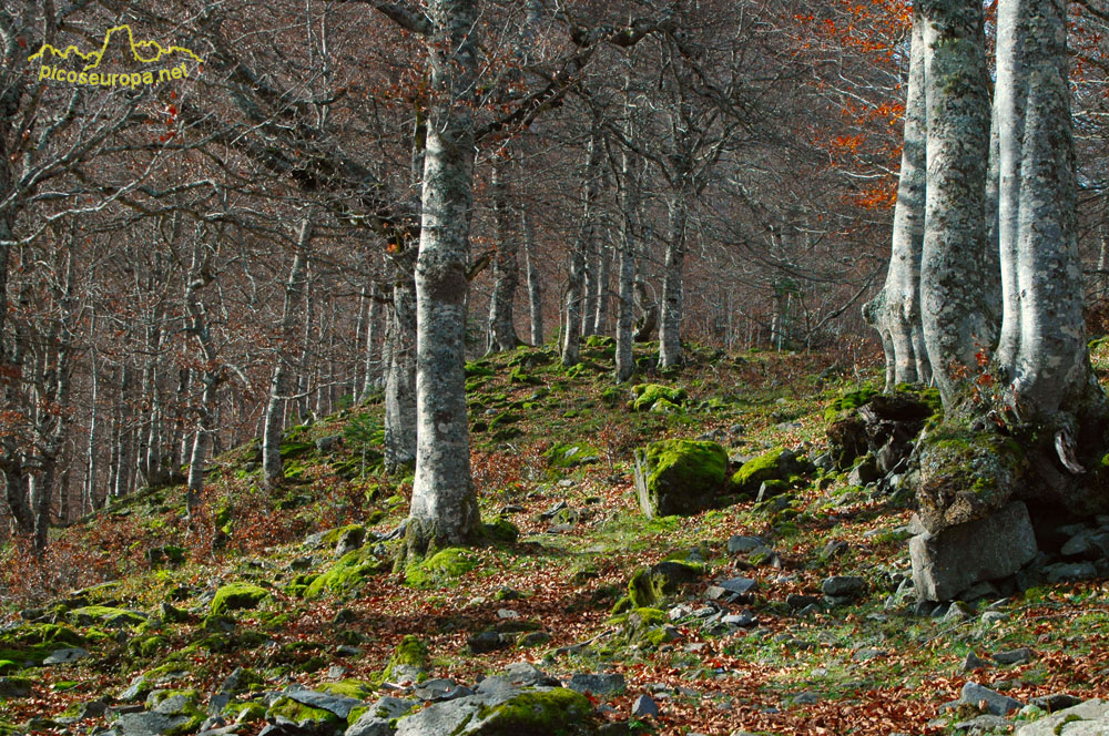 Foto: Artiga de Lin, Vall d'Aran, Pirineos de Lleida