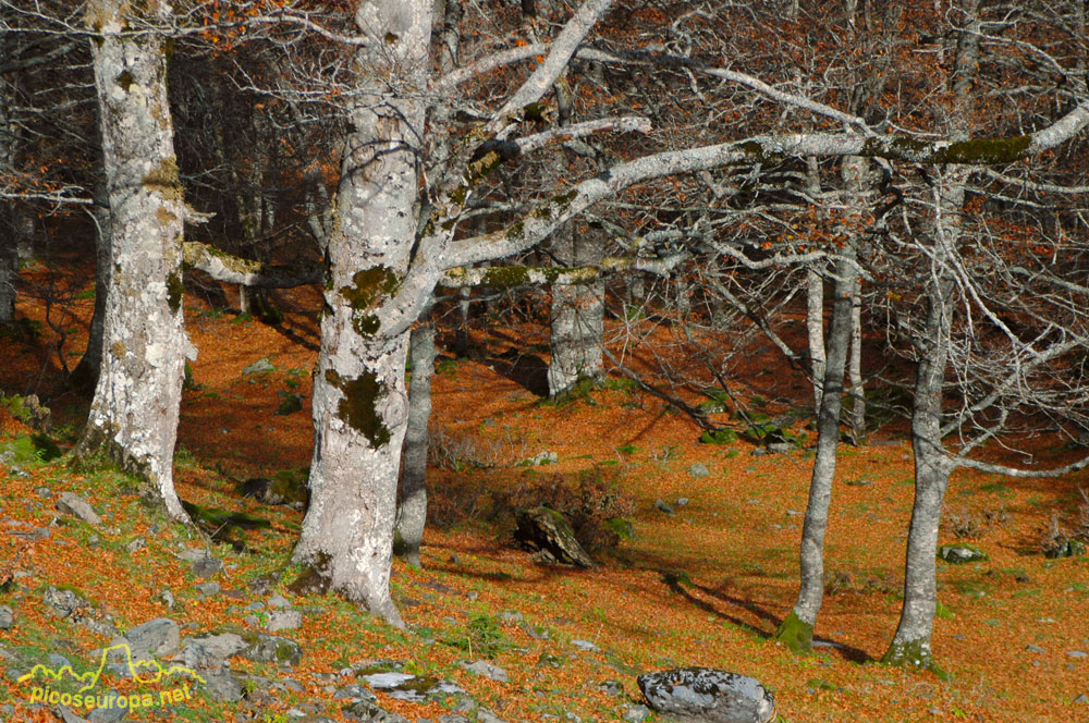 Foto: Artiga de Lin, Vall d'Aran, Pirineos de Lleida