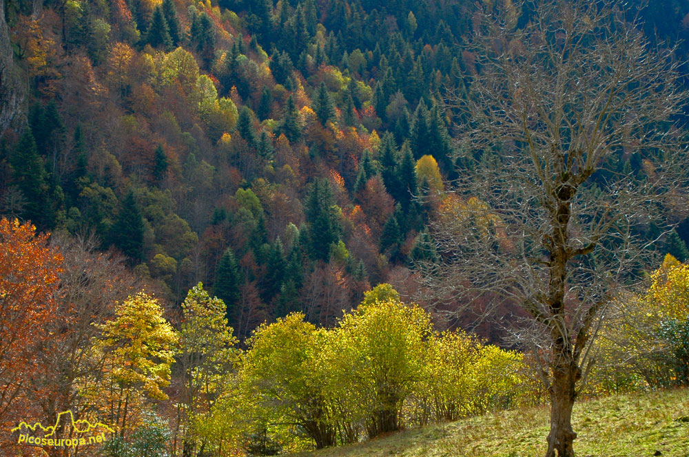 Foto: Artiga de Lin, Vall d'Aran, Pirineos de Lleida