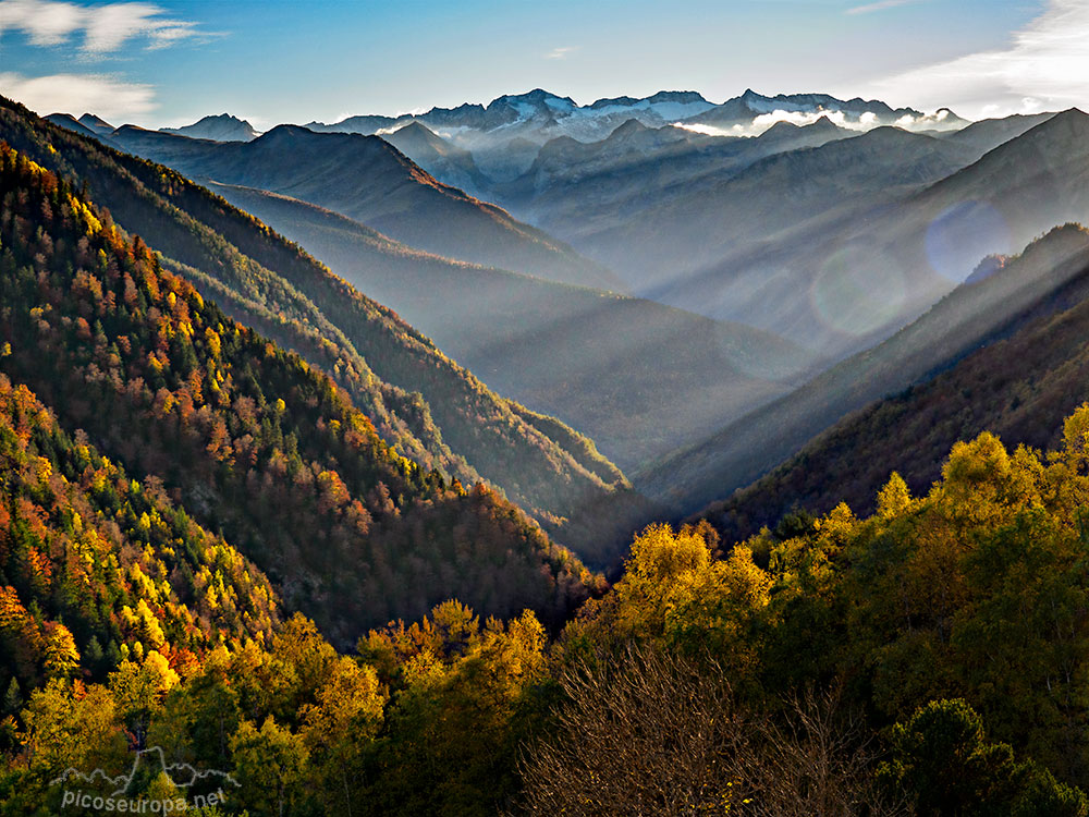 Foto: los bosque de la Val de Varrados con sus multiples barrancos y valles auxiliares que se abren sobre ella