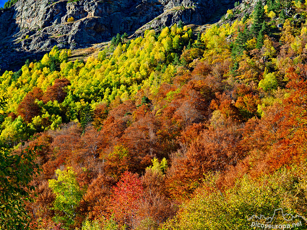 Foto: Otoño en la val de Varrados, Val d'Aran, Pirineos, Catalunya