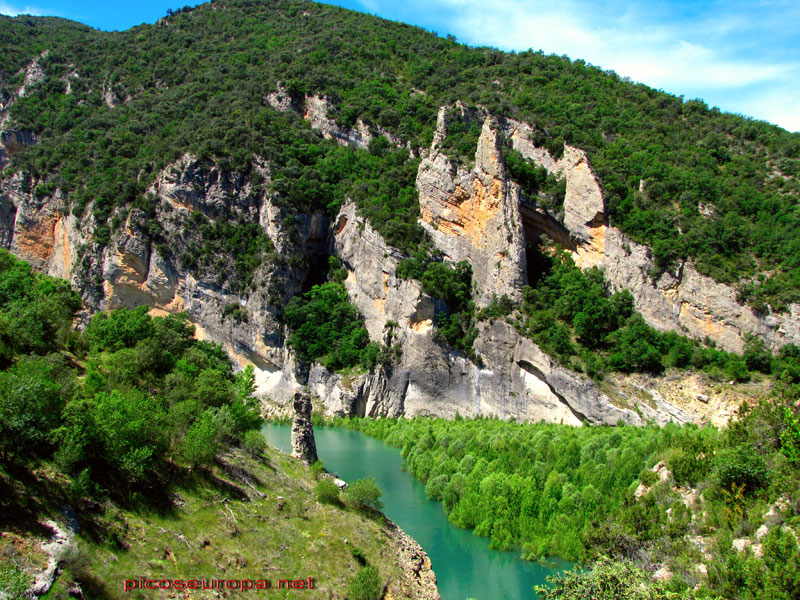 El rio Noguera Ribagorzana poco antes de entrar en el Congost de Mont Rebei