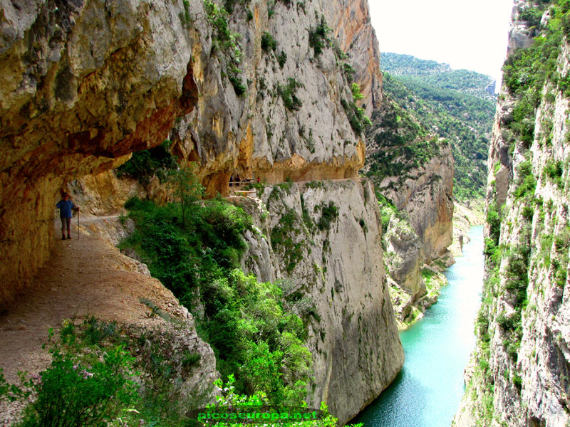 Congost de Mont Rebei y el rio Noguera Ribagorzana