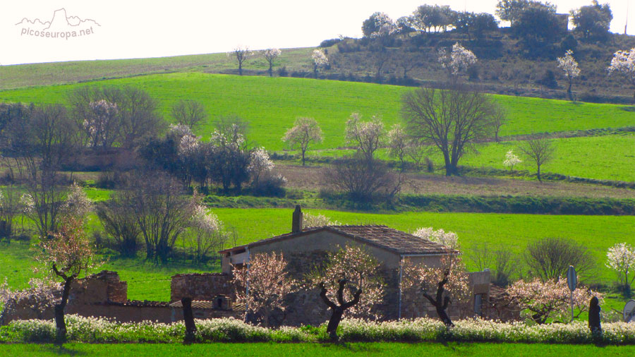 Sant Llorenç de Montgai, Lleida, Catalunya