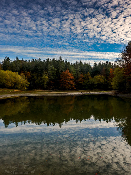 Bosques en el embalse de Urrunaga, Alava, Pais Vasco