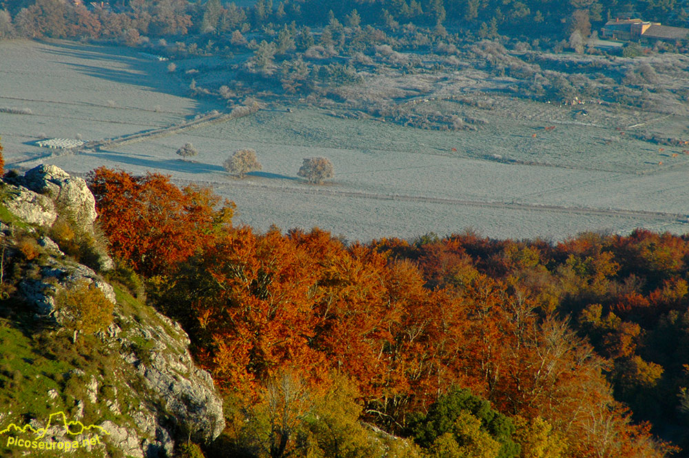 Foto: Otoño en los bosques que rodean el Santurario de la Virgen del Oro, Murguia, Alava, Pais Vasco