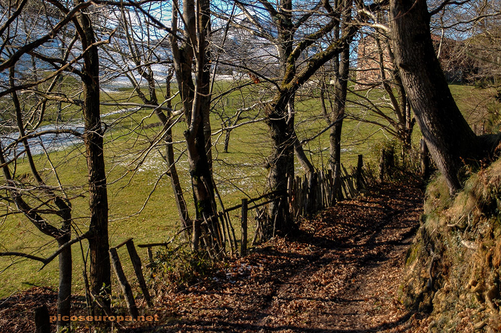 Un paseo desde Arangas, Cabrales, Asturias