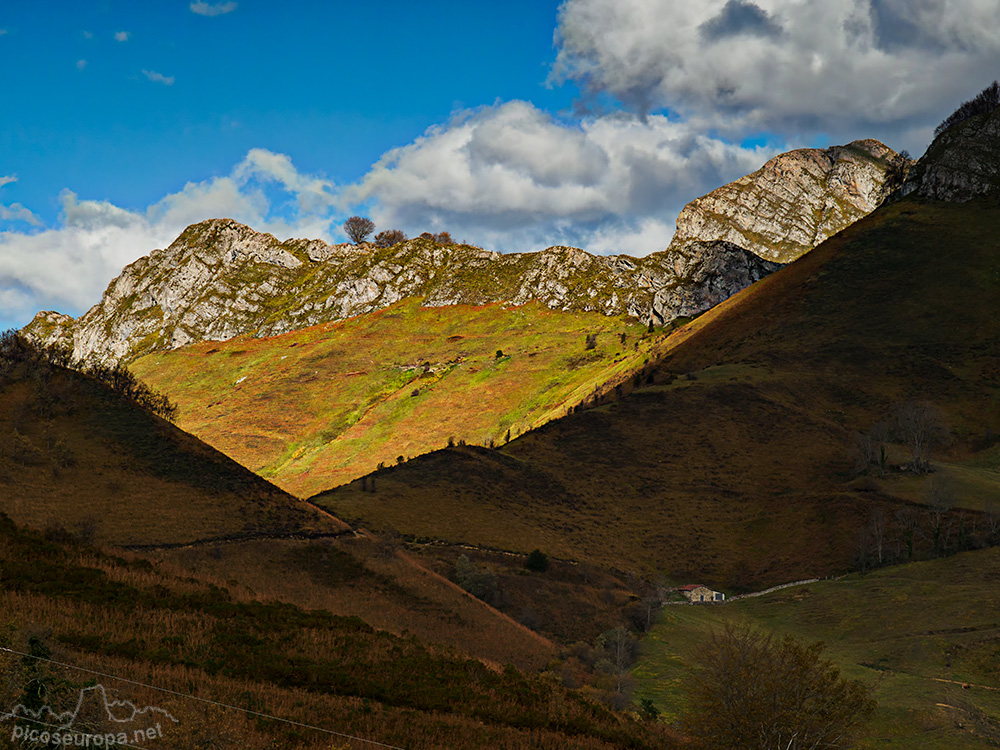 Foto: Inmediaciones de Collada Llomena, Parque Natural de Ponga, Asturias