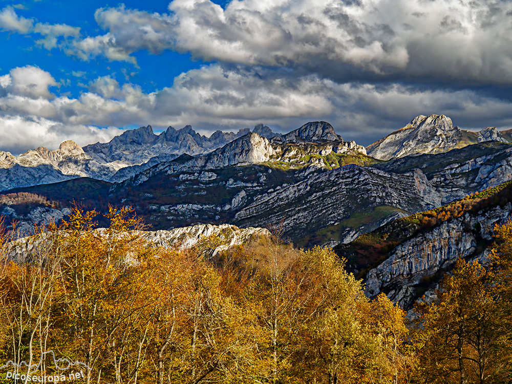 Foto:  Otoño en Collada Llomena, Parque Natural de Ponga, Asturias