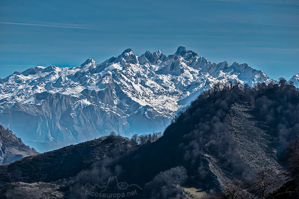 Picos de Europa desde la zona del Pico Niañu y Pedroso