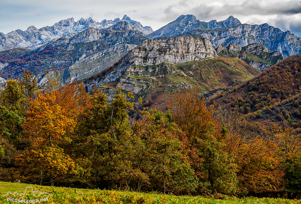 Foto:  Otoño en Collada Llomena, Parque Natural de Ponga, Asturias