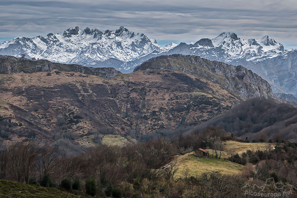 Foto: Picos de Europa desde el Pico Pierzo