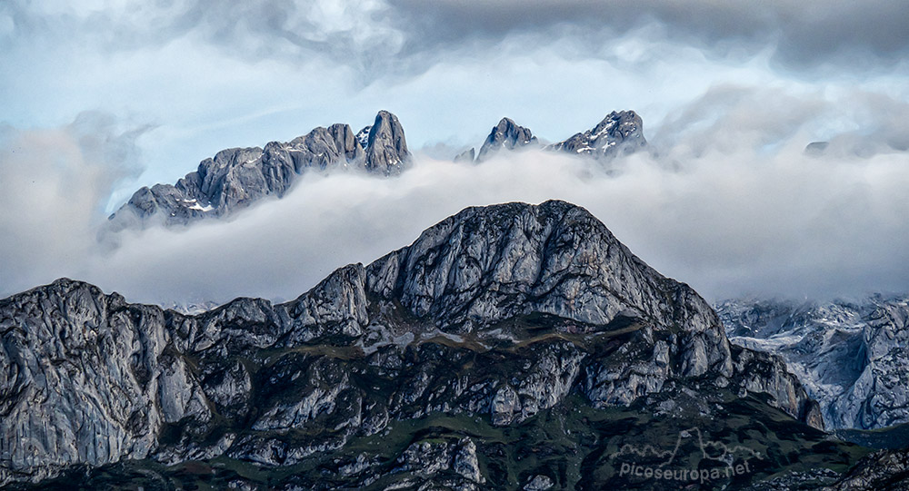 Picos de Europa desde el bosque de Peloño en el Parque Natural de Ponga, Asturias.