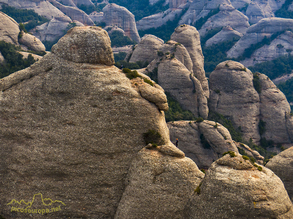 Foto: Zona de Agulles de Montserrat, Barcelona, Catalunya