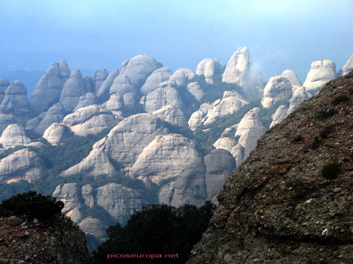 Foto: Parque Natural de Montserrat, Barcelona, Catalunya, España