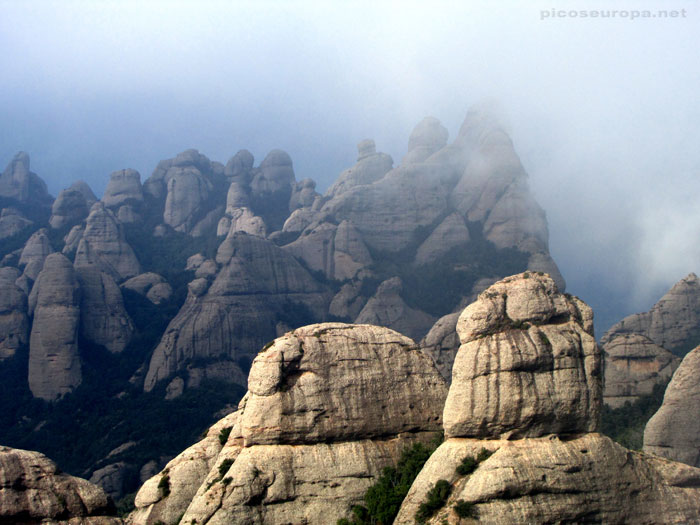 Foto: Parque Natural de Montserrat, Barcelona, Catalunya, España