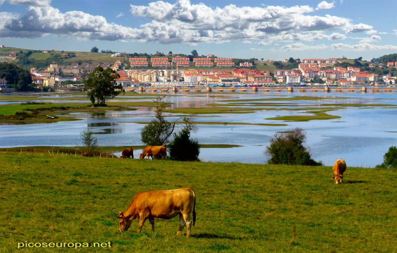 Foto: Marisma de Rubin, en la Ria de San Andres, San Vicente de la Barquera, Cantabria