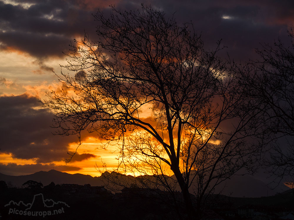 Foto: Puesta de sol en San Vicente de la Barquera, Cantabria