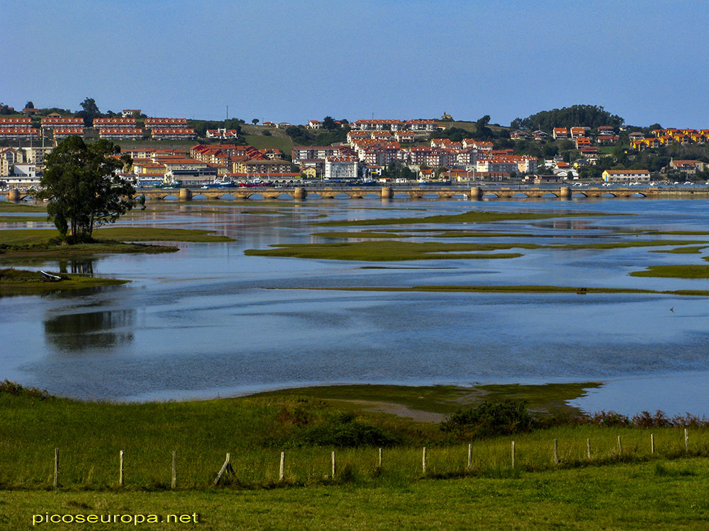 Foto: Marisma de Rubin, en la Ria de San Andres, San Vicente de la Barquera, Cantabria