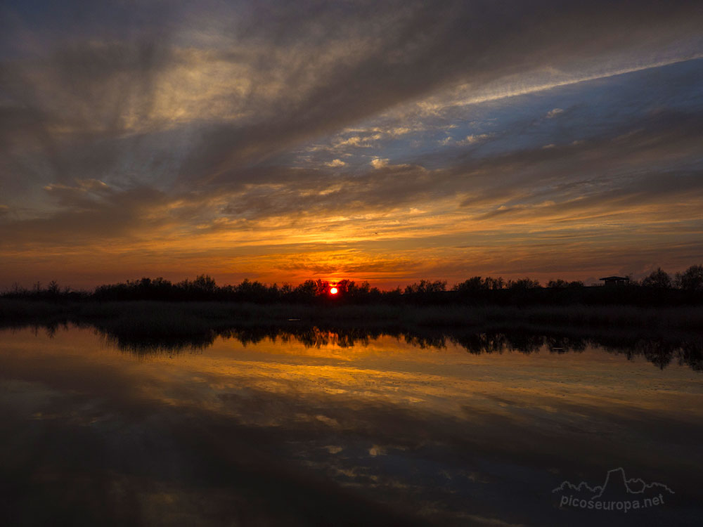 Foto: Puesta de sol en el Parque Nacional de las Tablas de Daimiel, Ciudad Real, Castilla La Mancha