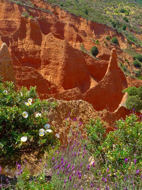 Carcavas de Valdepeñas de la Sierra, Guadalajara, Castilla La Mancha