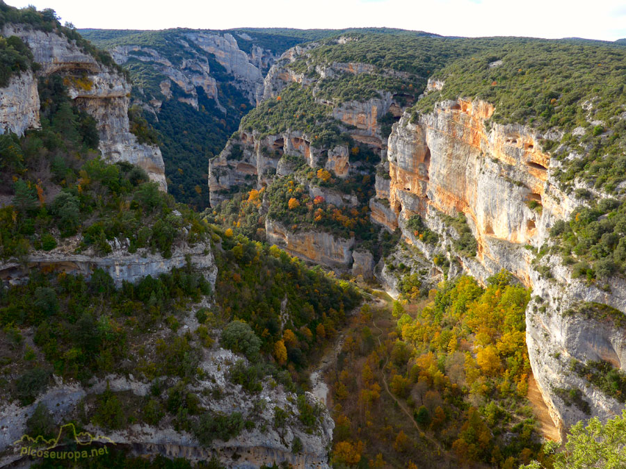 Río Vero, Parque Natural de Guara, Pre Pirineos de Huesca, Aragón, España