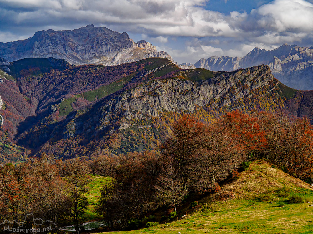 Foto: Picos de Europa desde las praderas donde se asienta la Majada de pozua, León, España