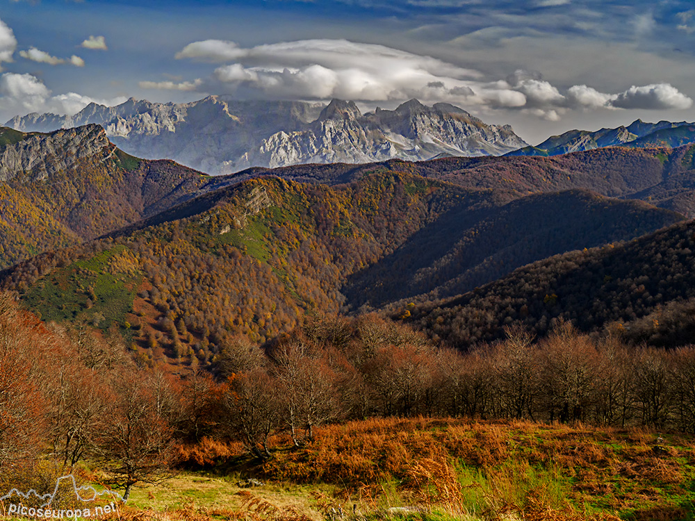 Foto: Picos de Europa desde la Majada de Pozua, Cordillera Cantábrica, León, España