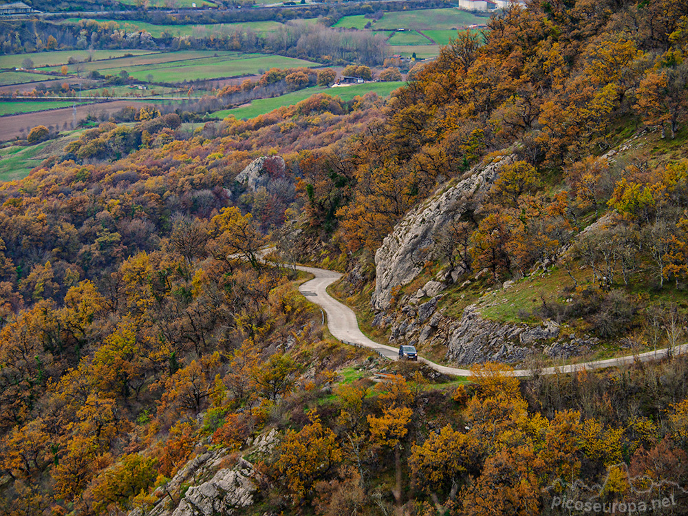 Foto: Paisajes y bosques alrededor del Monasterio de San Miguel de Aralar, Navarra