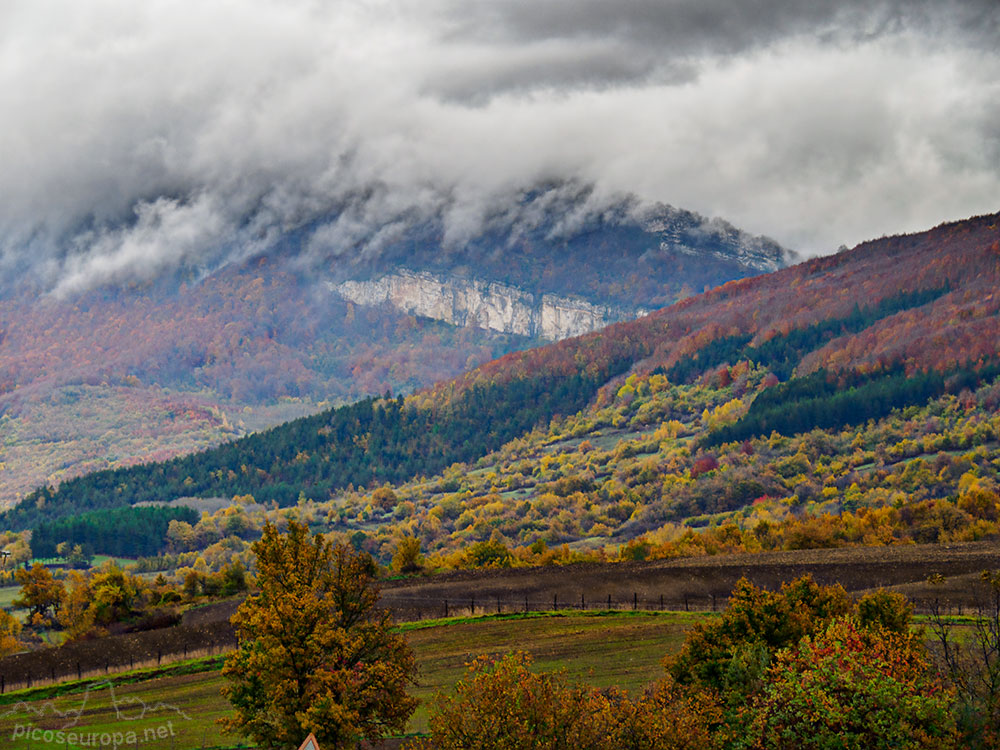 Foto: Navarra, una tierra de contrastes