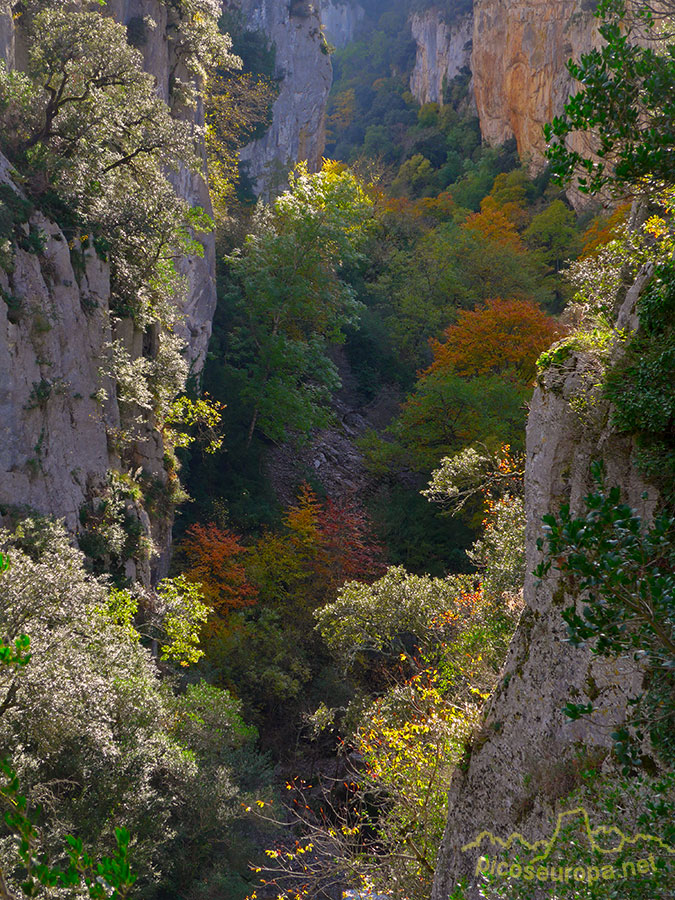 Foto: Foz de Arbaiun, Pre Pirineos, Navarra