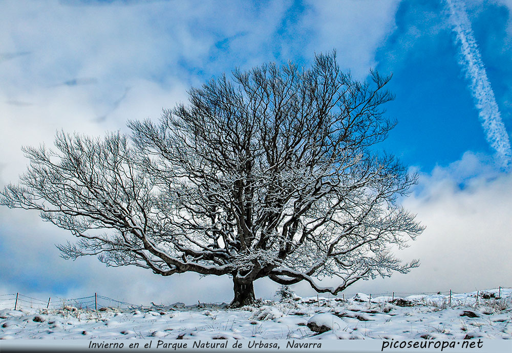 Foto: Invierno en el Parque Natural de Urbasa y Andia, Navarra