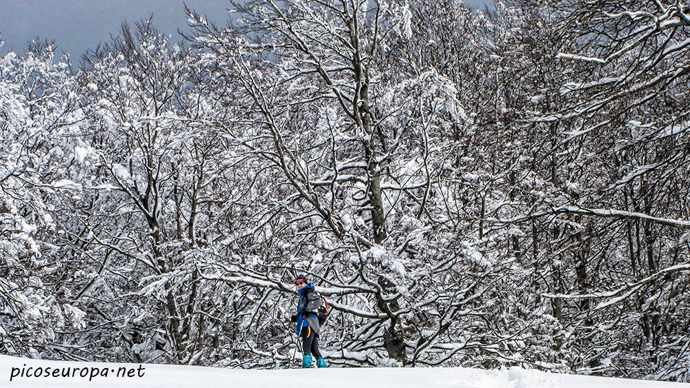 Foto: Invierno en el Parque Natural de Urbasa y Andia, Navarra