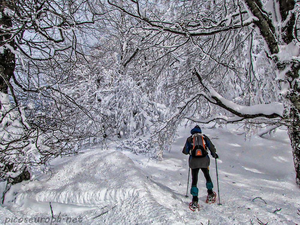 Foto: Invierno en el Parque Natural de Urbasa y Andia, Navarra