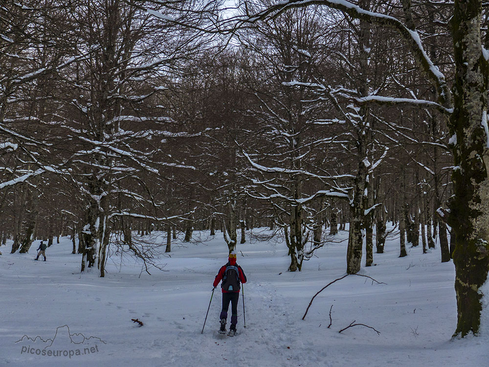 Foto: Invierno en el Parque Natural de Urbasa y Andia, Navarra